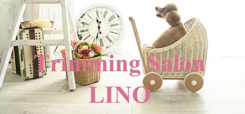 Trliming Salon Lino
