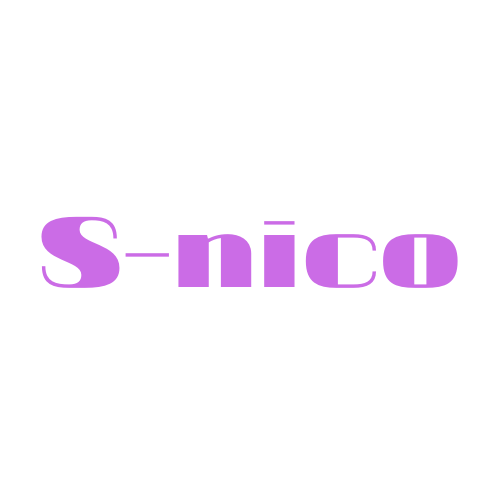 合同会社S-nico
