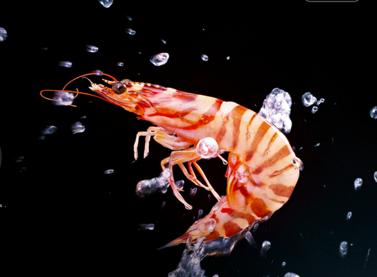 【16:30定時＆残業月5h】プライベートを大切にできるルート配送♦未経験歓迎♦ノルマなし♦賞与あり イメージ1