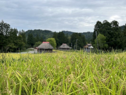 EC事業の成長戦略を担う事業責任者候補／あなたの裁量でブランドを育てる イメージ1