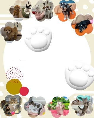 ペットショップ・フロアスタッフ[アミーゴ和歌山太田店内] イメージ1