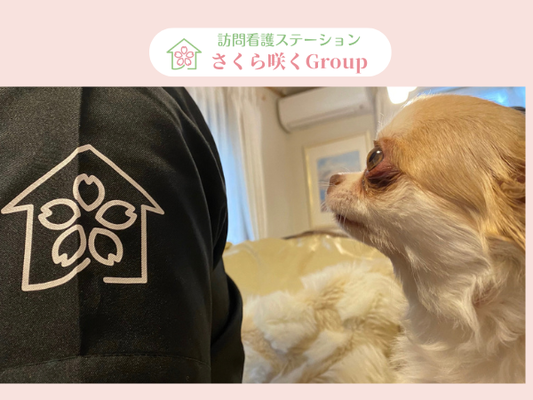 言語聴覚士　年休125日以上《未経験者歓迎◎7時間勤務17時上がり残業なし》 イメージ1