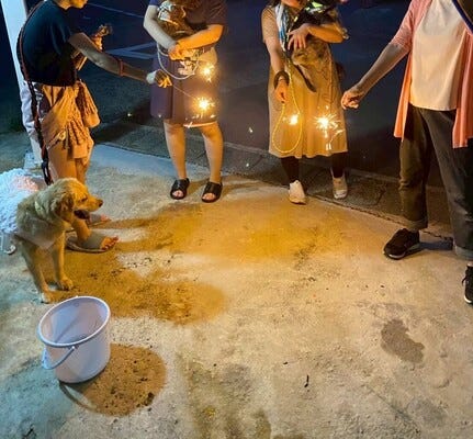 グループホームの夜勤職員/週１～/正社員登用あり/ペット同伴OK イメージ1