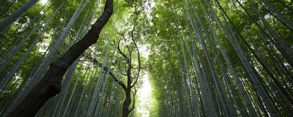 造園業 イメージ1