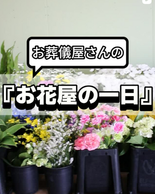 8割が20～35代、 イメージ1