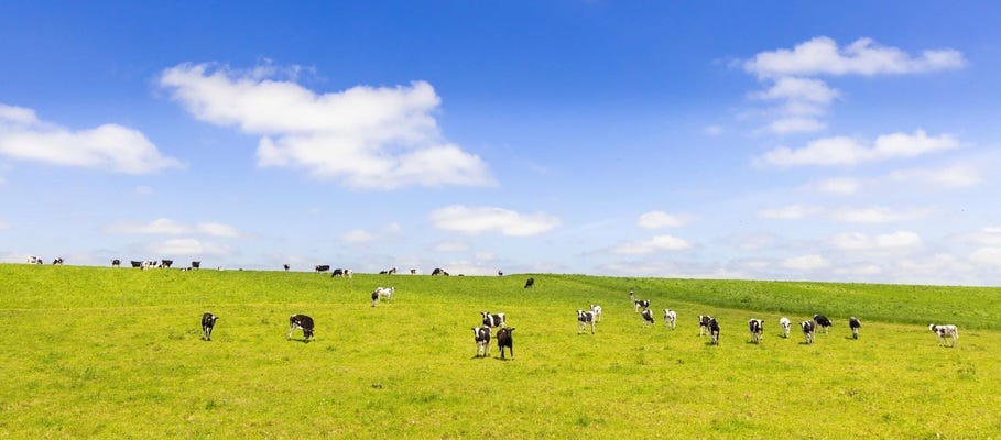 【月給32.5万円／北海道別海町】空き家対策・関係人口創出に着手／町の未来を紡ぐ仕事 イメージ1