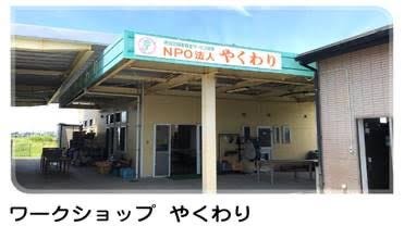 パネル画像