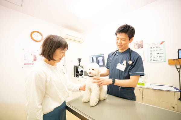 パネル画像