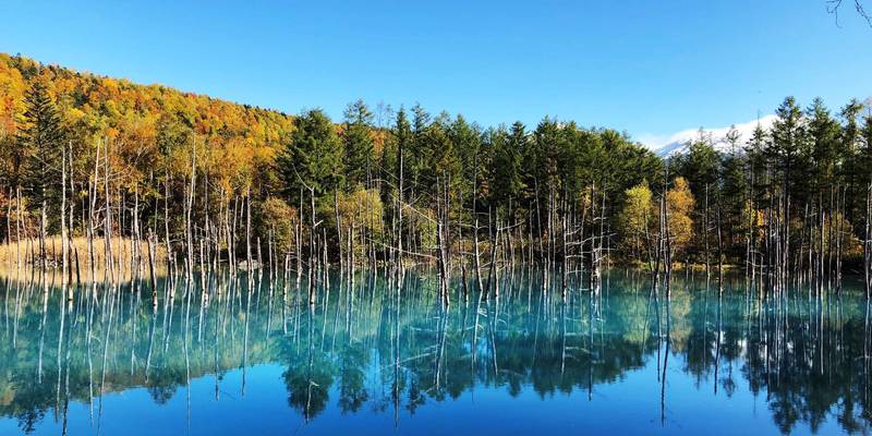 設備管理（管理業務／業務改善・IT活用に関われる） イメージ1