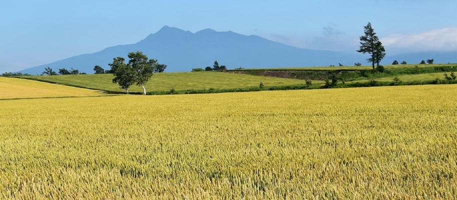 ＼アウトドア好き必見 イメージ1
