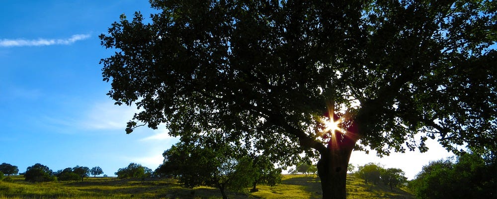 交通費支給あり！宅建士資格をお持ちの方募集☆土地の調査や書類作成等 イメージ1