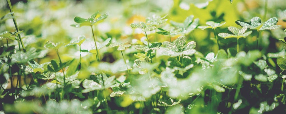 パッケージ製品の生産管理サポート職（未経験OK）◆完全土日祝休み／昇給・賞与あり／残業なし／車通勤可 イメージ1