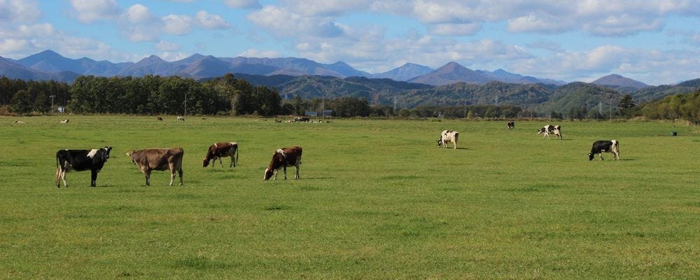 営農事業部スタッフ（未経験可）◆年間休日123日／完全土日祝休／昇給・賞与／奨学金返還支援制度あり イメージ1