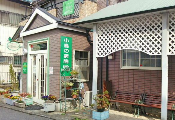 小鳥の好きな方を歓迎します！ イメージ1