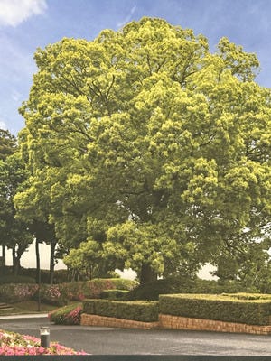 幅広い世代の方が活躍/働き方は自分次第/ライフコンサルタント/定時退社/育児・介護支援制度充実！ イメージ1