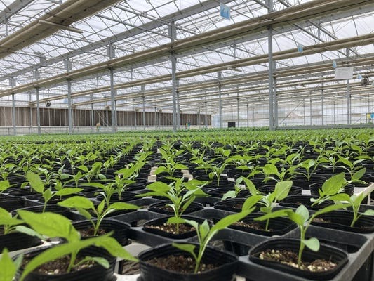 【上場企業×農業の未来を支える営業】未経験から“売る”より“寄り添う”提案で地域&nbsp;と食を支える！ イメージ1