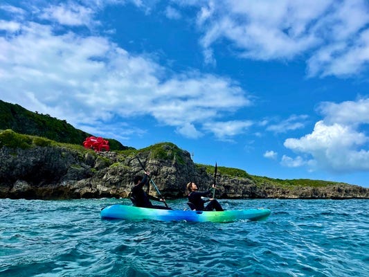 マリンアクティビティのネイチャーガイド イメージ1