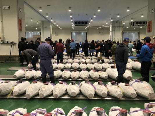 早朝5時から15時までの勤務！週休2日制で無理なく働けます！足立市場内水産物の卸売会社 イメージ1