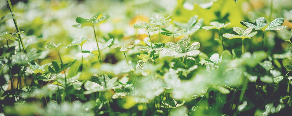 未経験大歓迎　ダスキンマットの交換スタッフ・ドライバー　時給1,300円 イメージ1