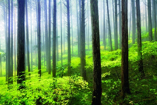 未経験歓迎！法人のルート営業です！★残業月20時間以内　★週休2日　★福利厚生充実&nbsp;&nbsp;★賞与3回 イメージ1