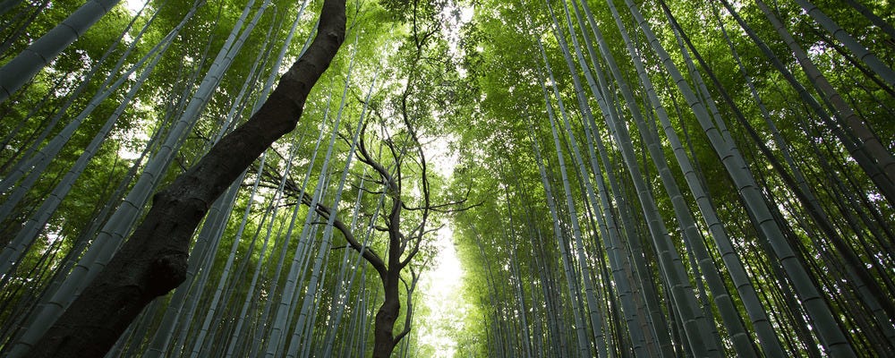 【未経験から月給27万円以上！】暮らしに身近な「油脂」をつくる製造スタッフ／転勤なし イメージ1