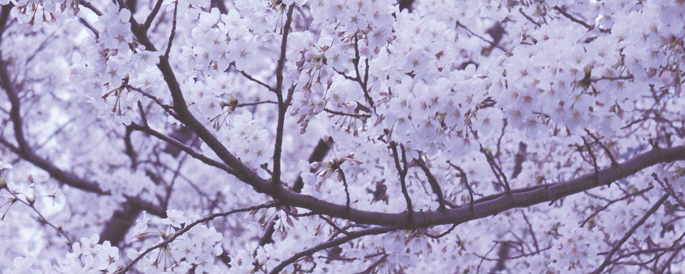 WワークOK！ご自身のライフスタイルに合わせた働き方ができます♪♪ イメージ1