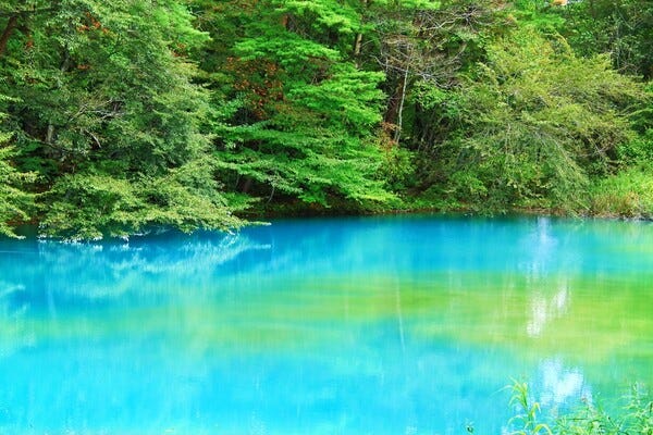 基本的なPCスキルがあればOK！ブランクOK！｜未経験から始める一般事務｜賞与年2回で安心 イメージ1