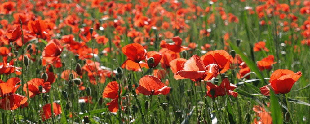 【浦和駅すぐ】浦和パルコの清掃スタッフ／午前のみ短時間勤務／「ありがとう」が嬉しいお仕事 イメージ1