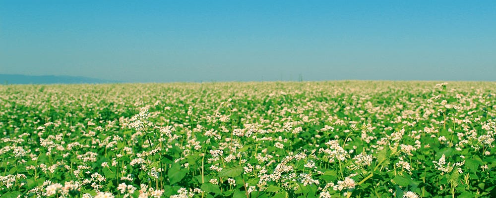 「やさしい」工場ワーク✨おしゃれ自由／20～30代女性活躍中！工場内でのセラミック製品の洗浄 イメージ1