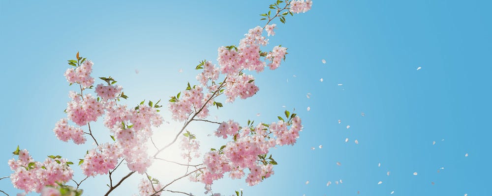 IT化が進む美容クリニックの受付・院長秘書・事務 イメージ1