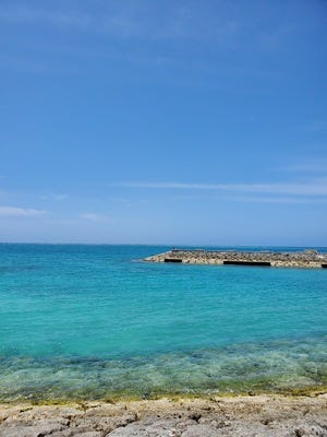 未経験者歓迎 イメージ1