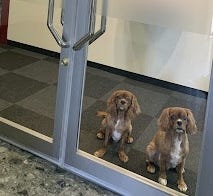 キャラクターグッズ・アニメグッズのWEB販売に関する事務作業 イメージ1