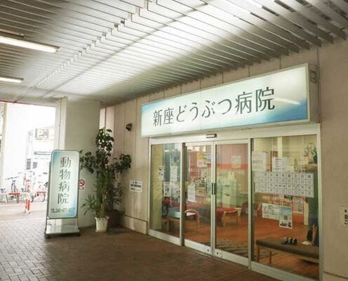 パネル画像