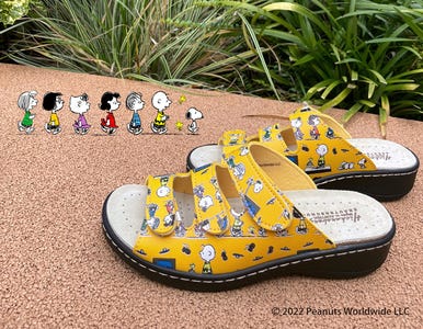 ピドックス株式会社の採用・求人情報engage