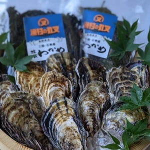 幸進丸 佐藤水産の採用・求人情報-engage