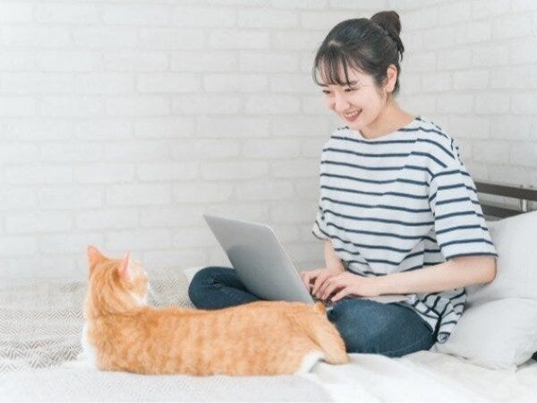 未経験OK！ネットショップの商品データ入力スタッフ 合同会社